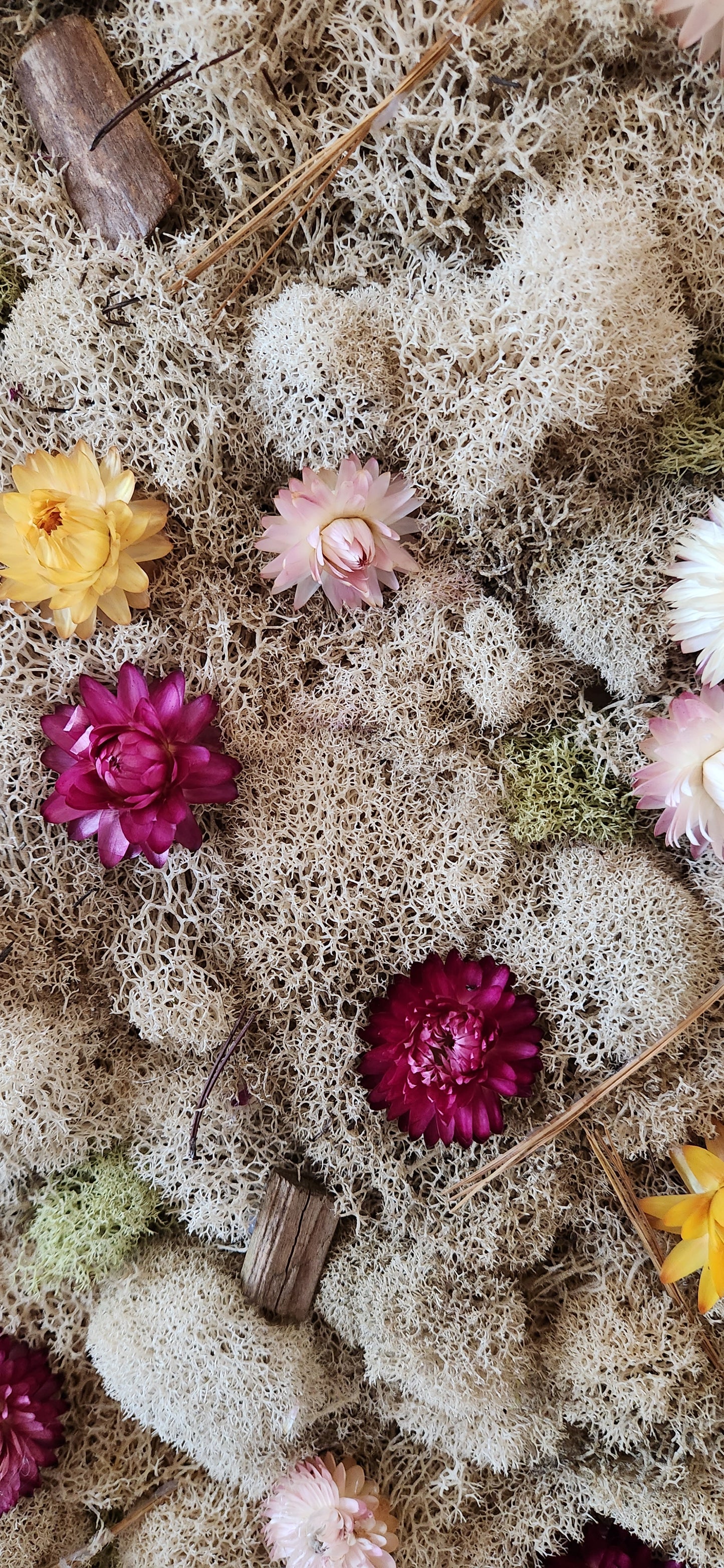 Nude Moss & Flowers