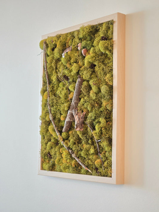 Green Earth & Acorns