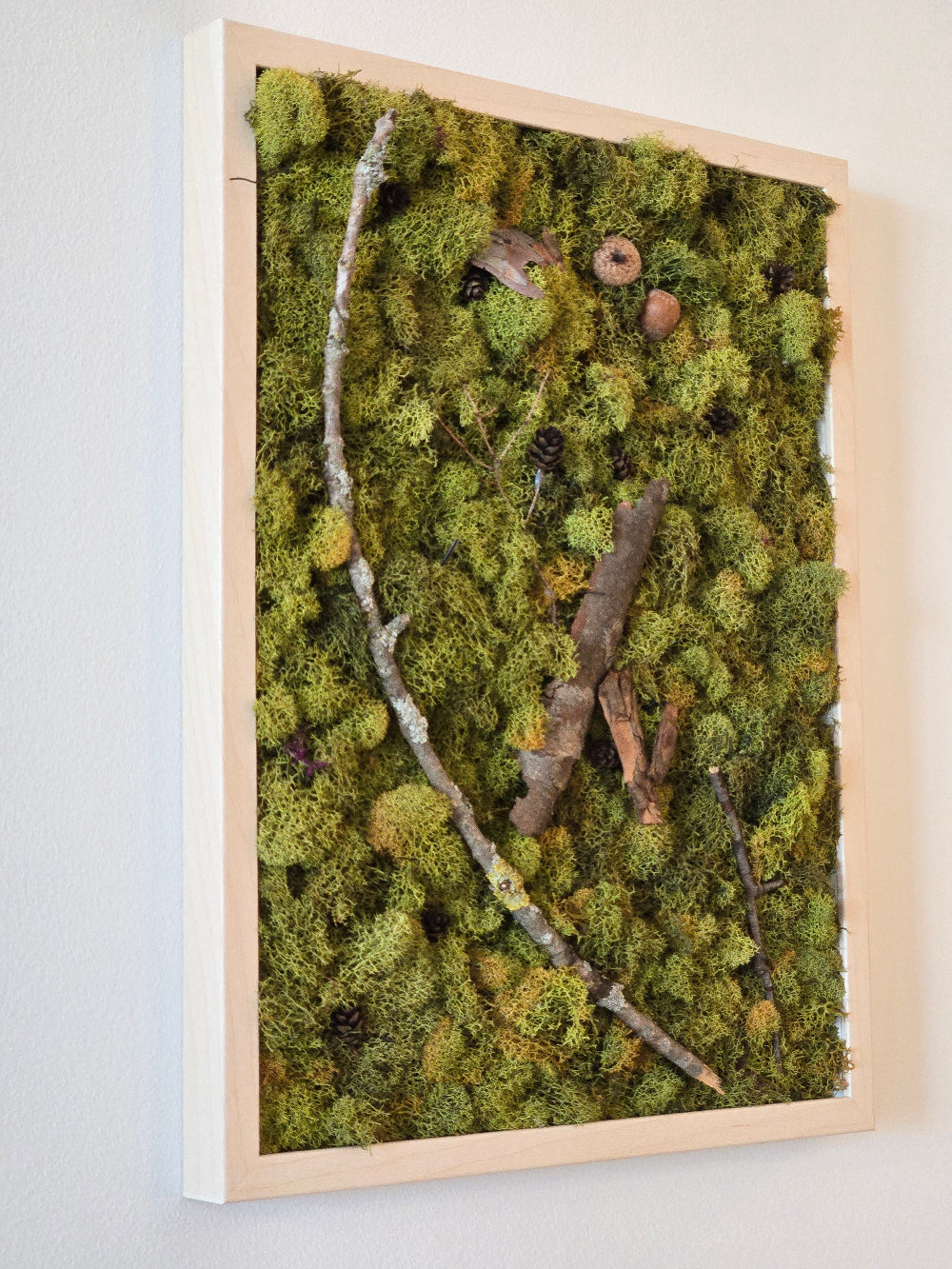 Green Earth & Acorns - Moss Art