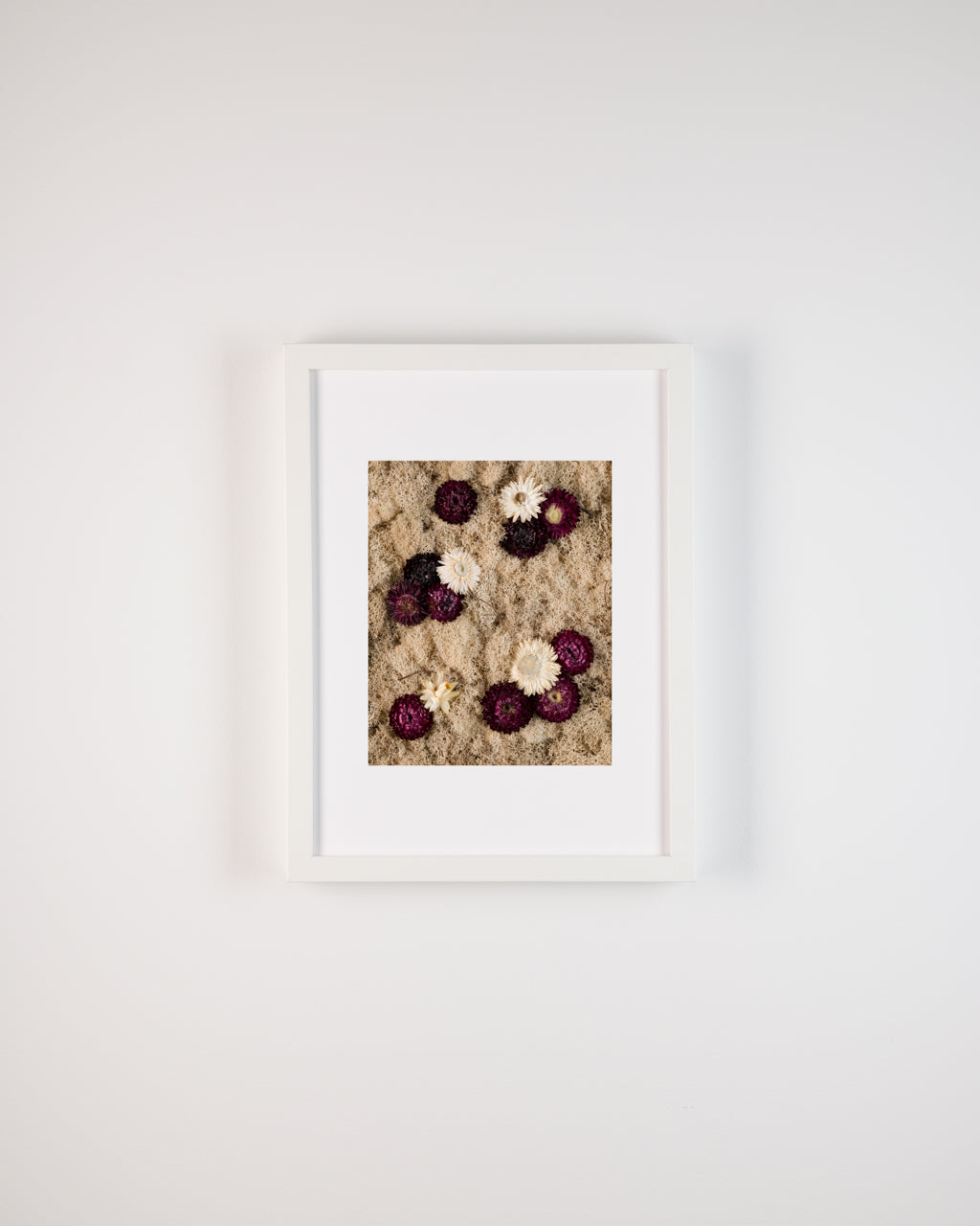 Black Raspberry - Fine Art Print