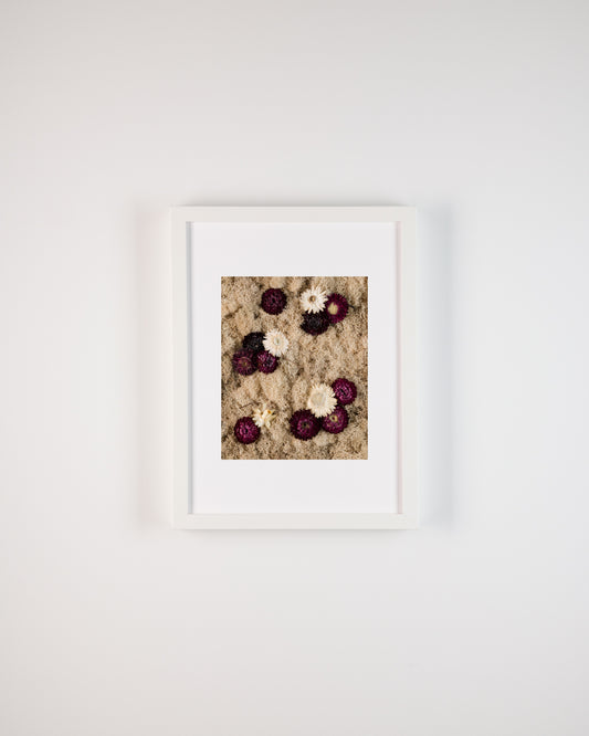 Black Raspberry - Fine Art Print