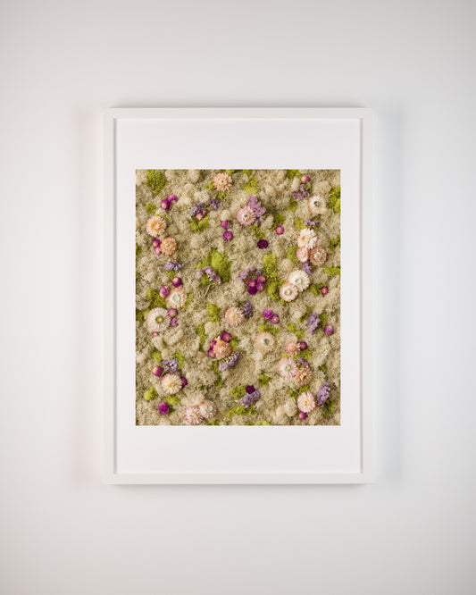 Cotton Candy - Fine Art Print