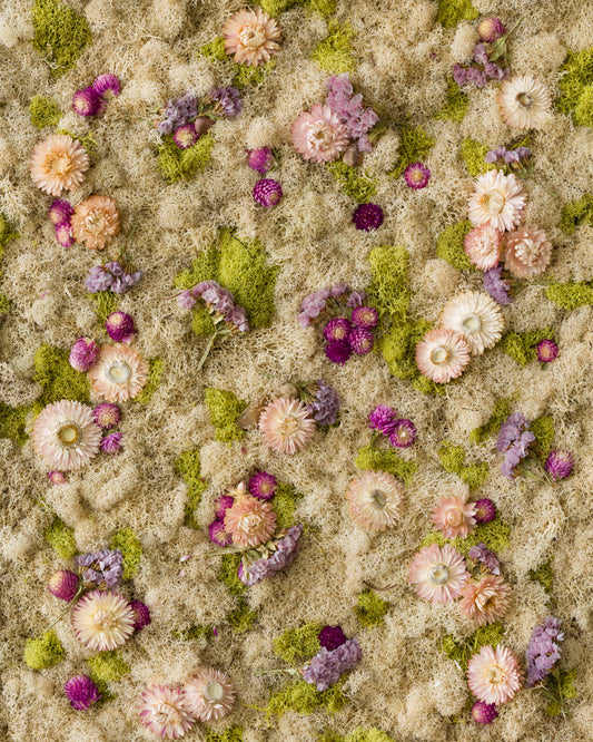 Cotton Candy nude, blush, and purple flowers on light green and nude moss wall fine art print