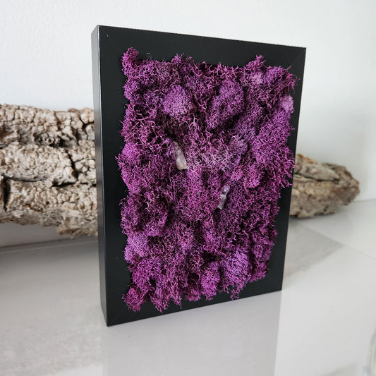 Deep Purple Moss & Amethyst Crystals