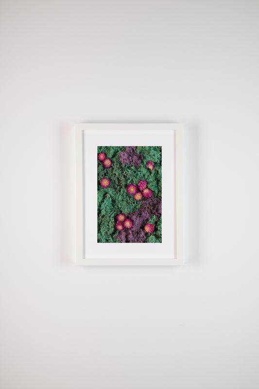 Emerald Cut - Fine Art Print