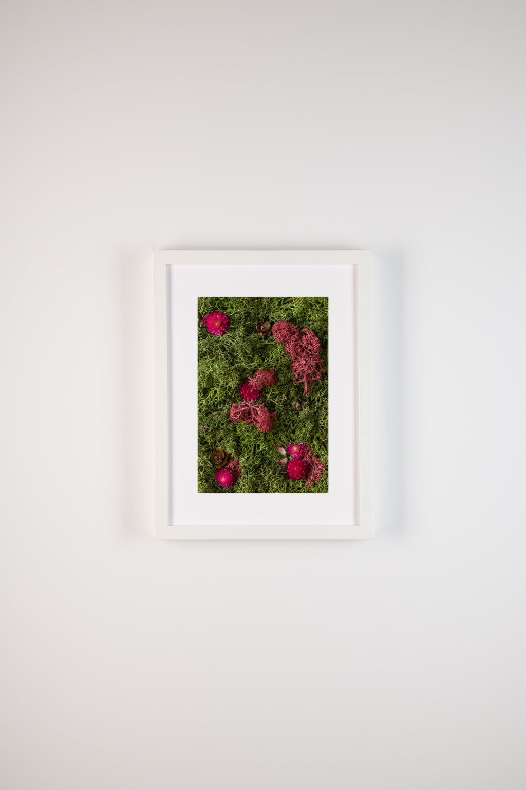 Enchanted Forest - Fine Art Print