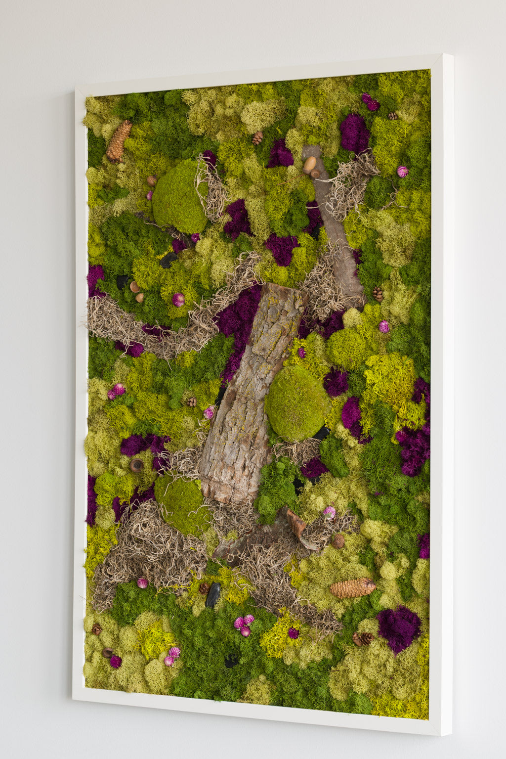 Forest Floor - Moss Art