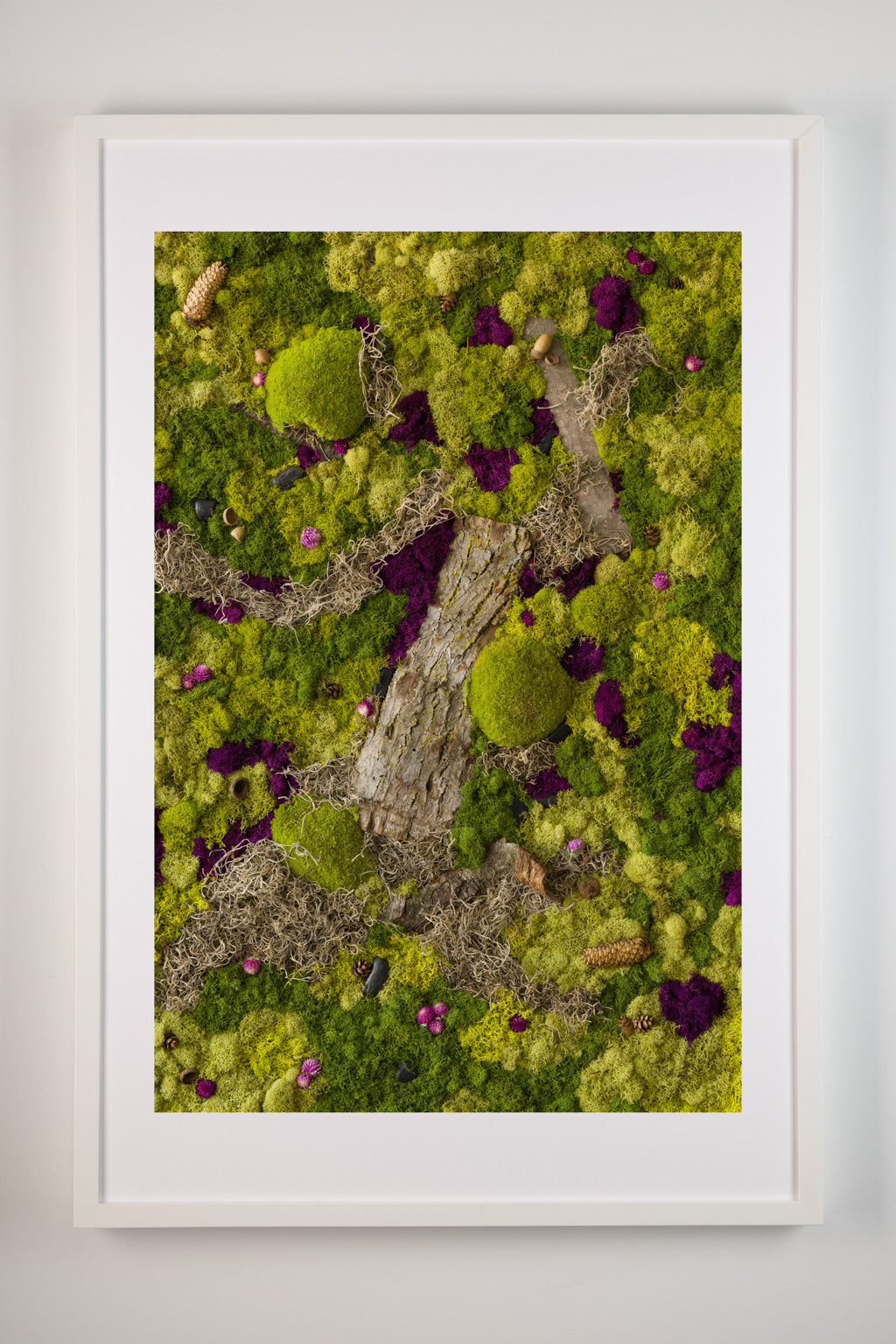 Forest Floor - Fine Art Print