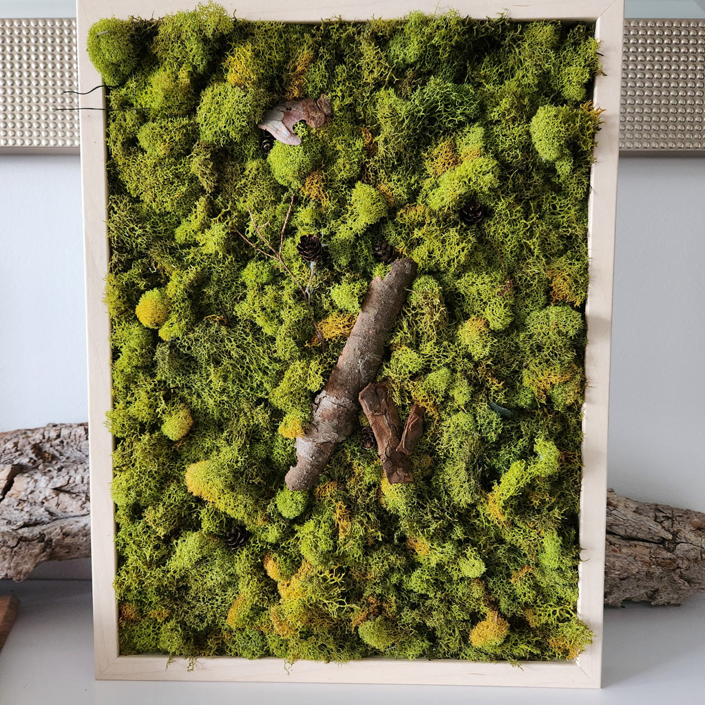 Green Earth With Bark Peel - Moss Art