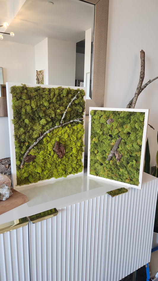 Green Earth With Lichen Sticks - Moss Art