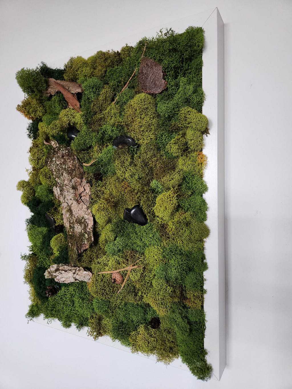 Green Earth With Bark - Moss Art