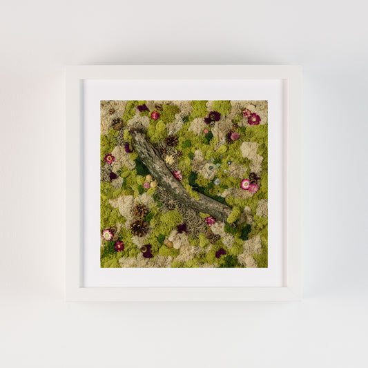 In Stillness - Fine Art Print