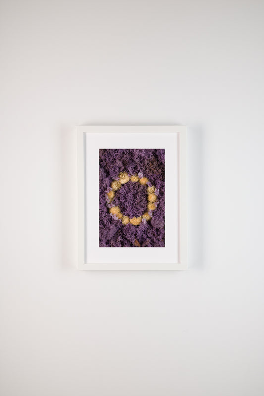 Lavender Fields - Fine Art Print