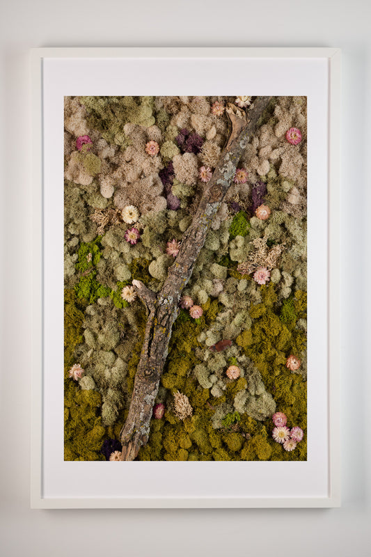 The Original - Print