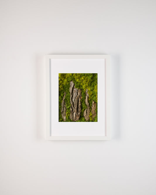 Stonehenge - Print