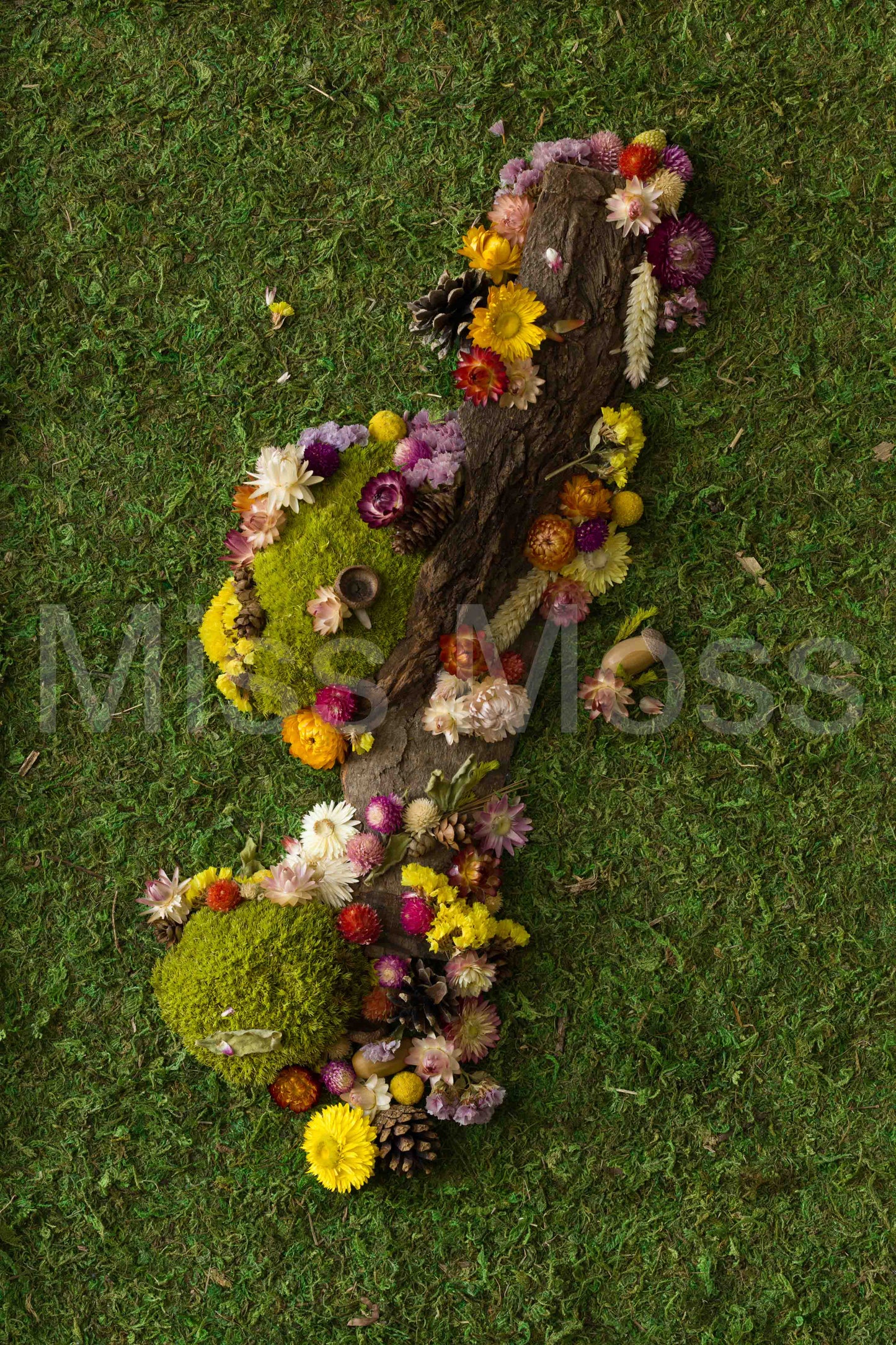 In Bloom - Print