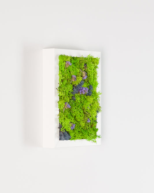 Northern Lights - Moss Art