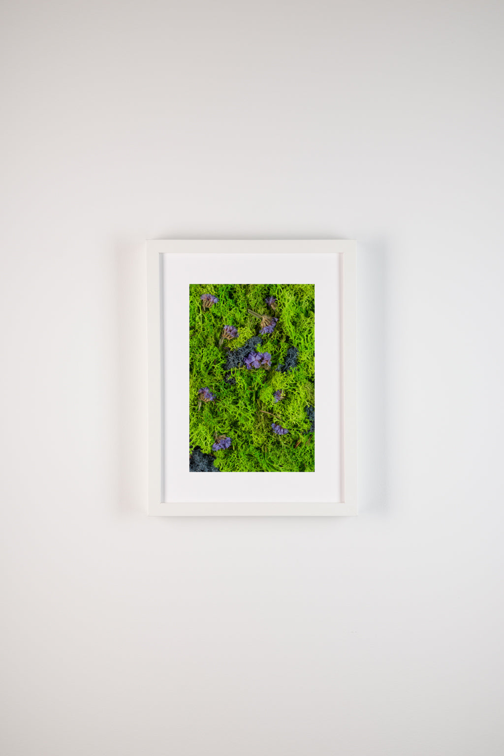 Northern Lights - Fine Art Print