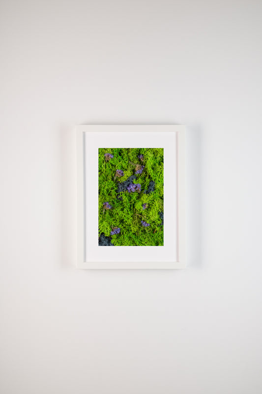 Northern Lights - Fine Art Print