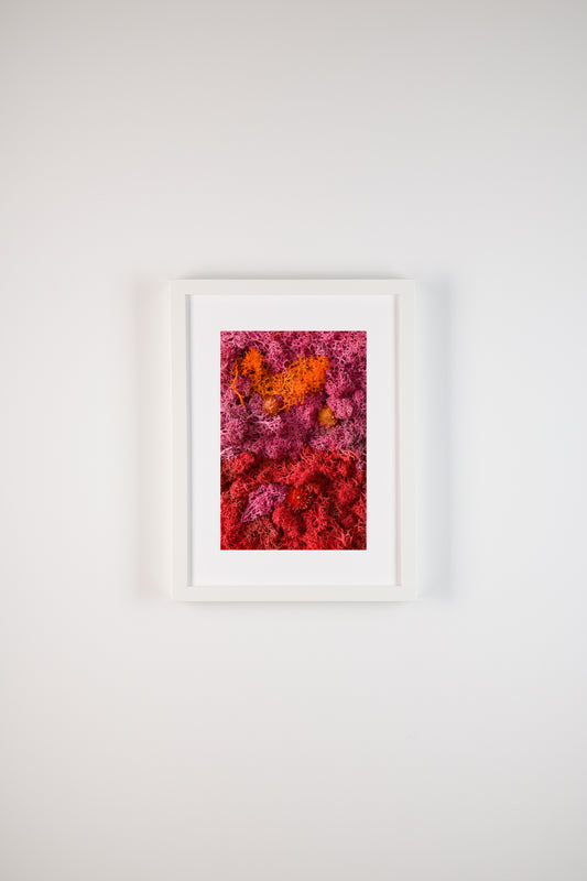 Popsicle - Fine Art Print
