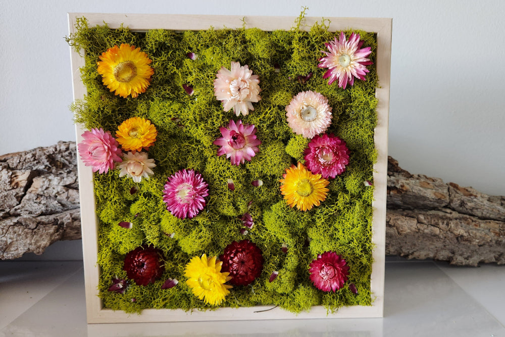 Spring Flowers - Square Frame - Moss Art