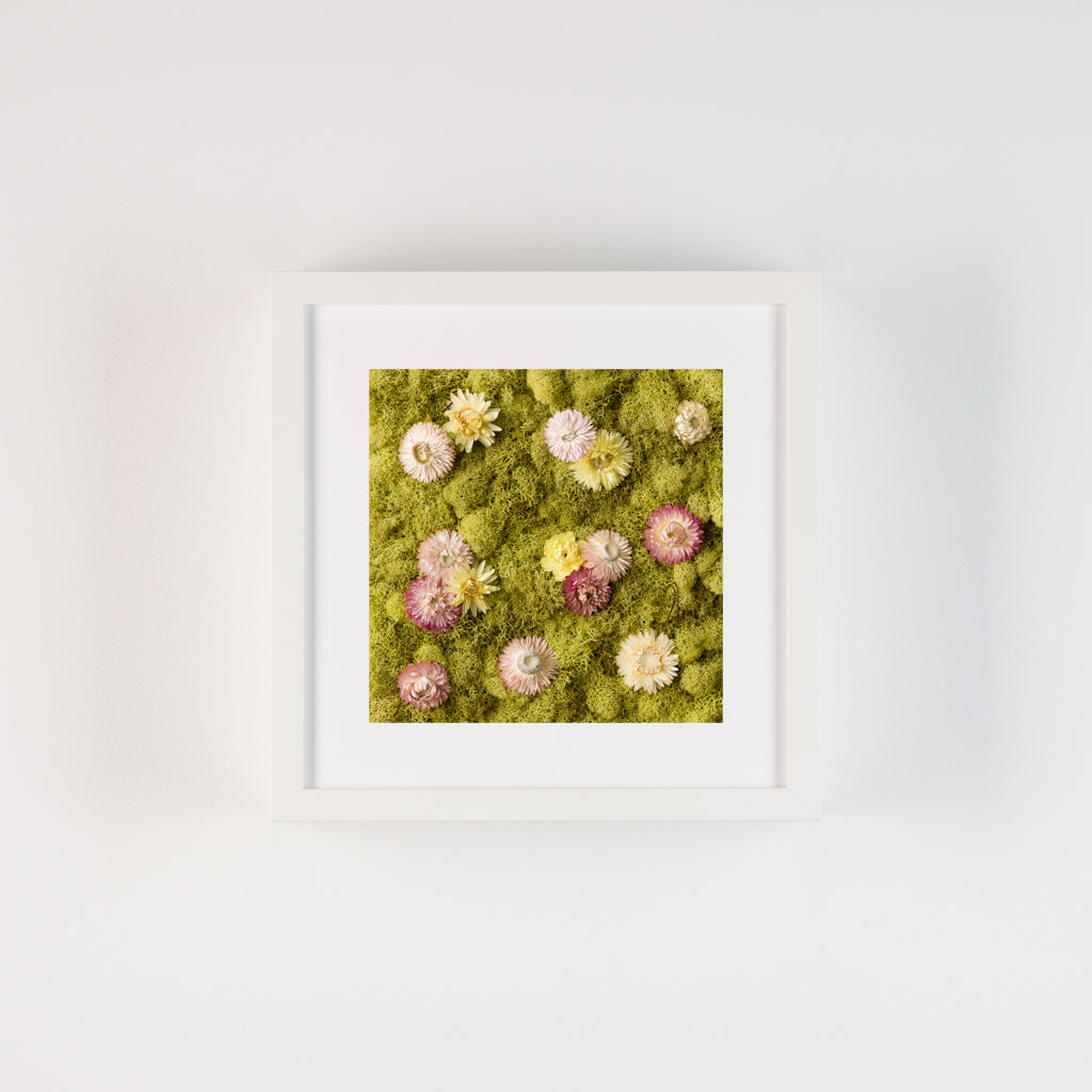 Sunday - Fine Art Print