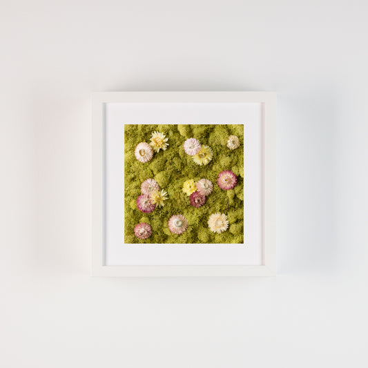 Sunday - Fine Art Print