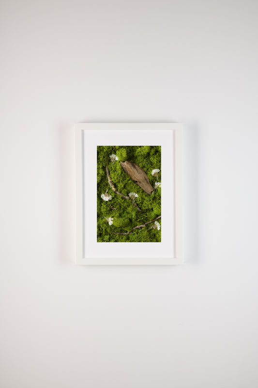 Swan Lake - Fine Art Print