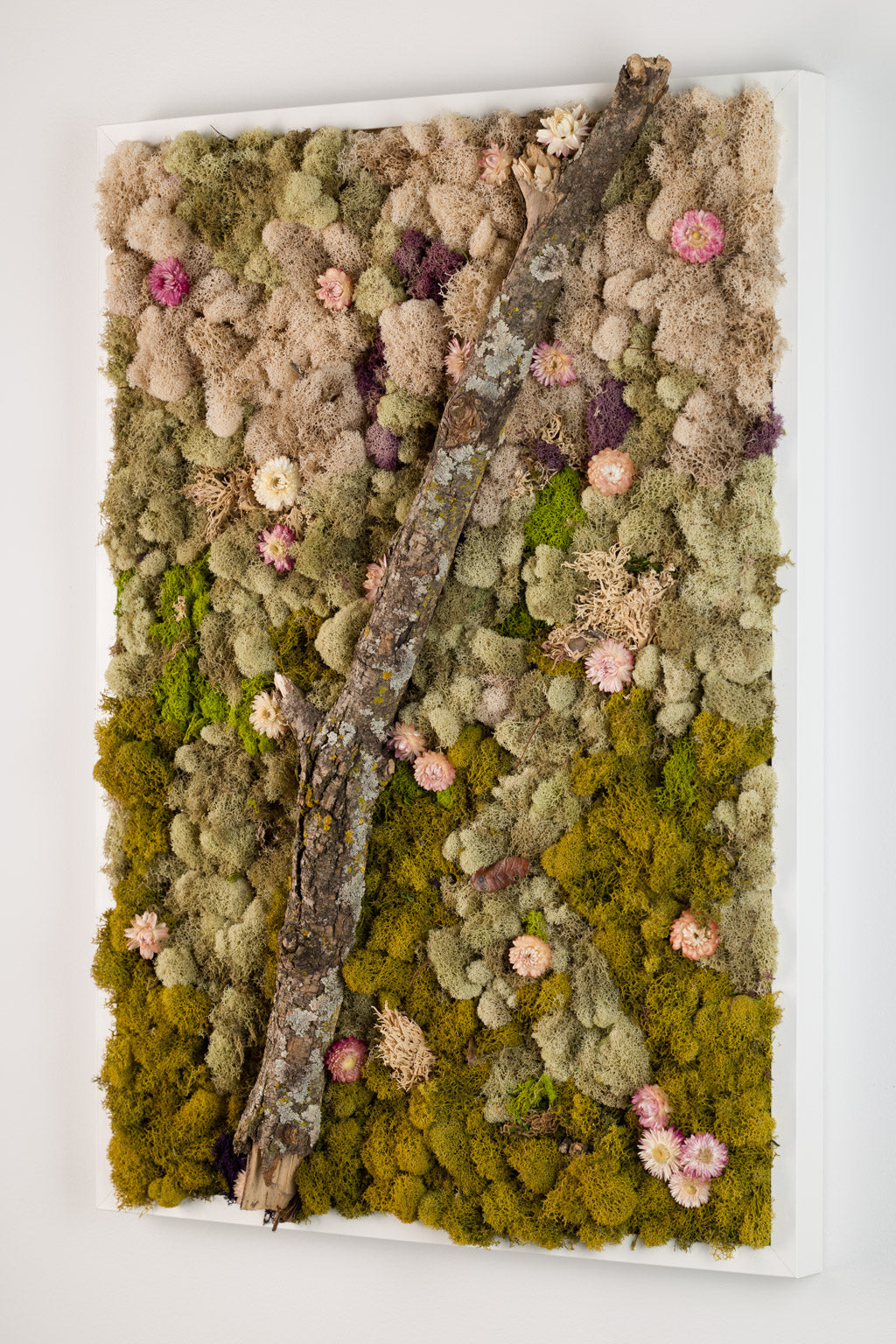 The Original - Moss Art