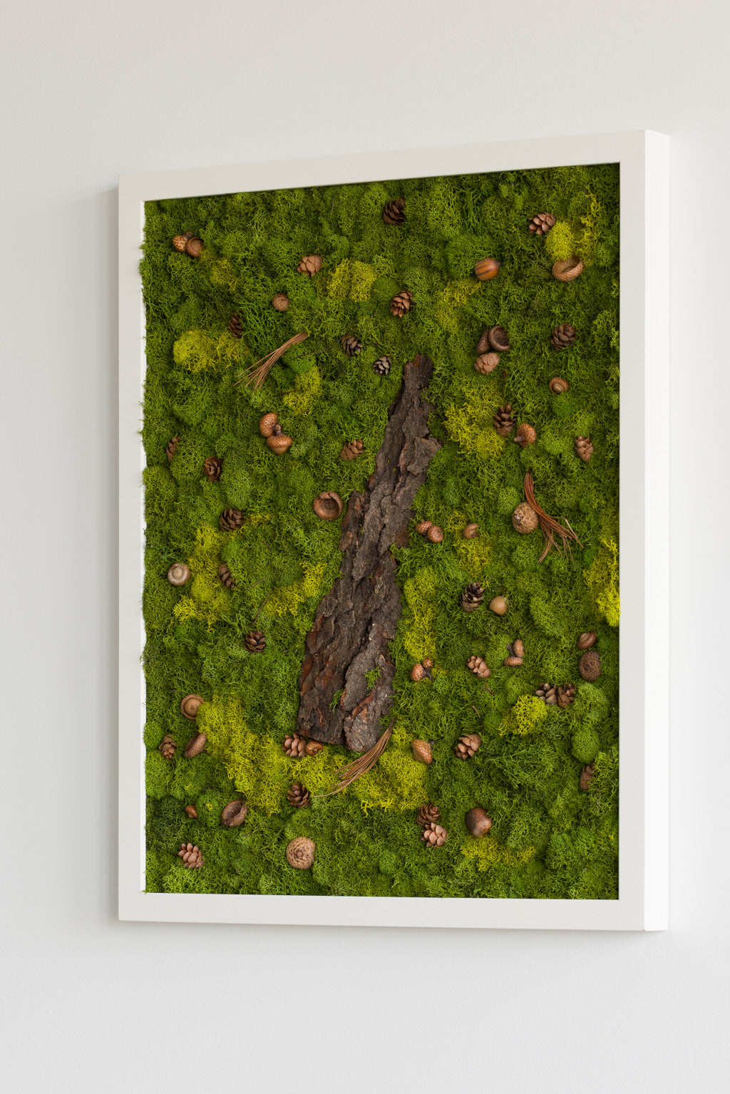 White Squirrel Way - Moss Art