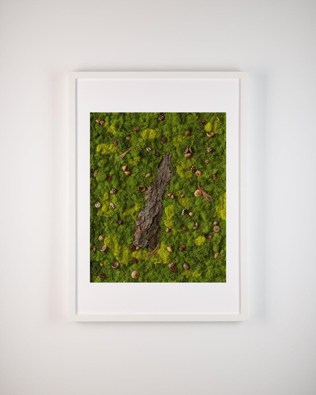 White Squirrel Way - Fine Art Print