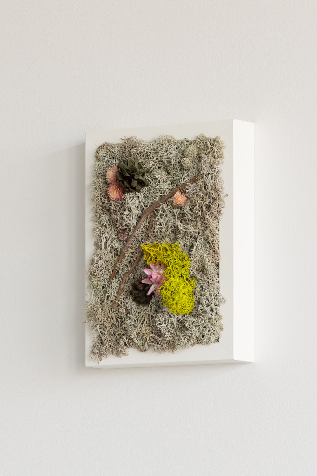 Winter To Spring - Moss Art