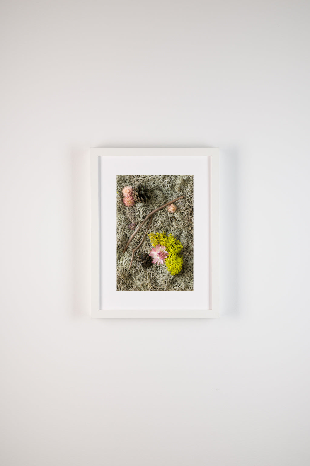 Winter To Spring - Fine Art Print