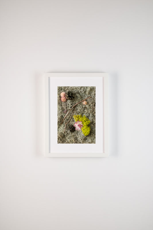 Winter To Spring - Fine Art Print