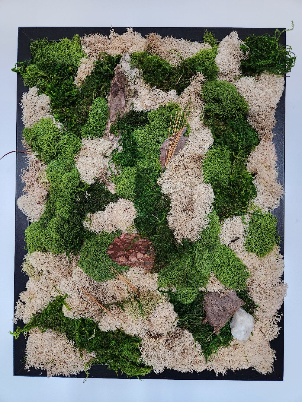 Forest Floor Nude & Green Moss