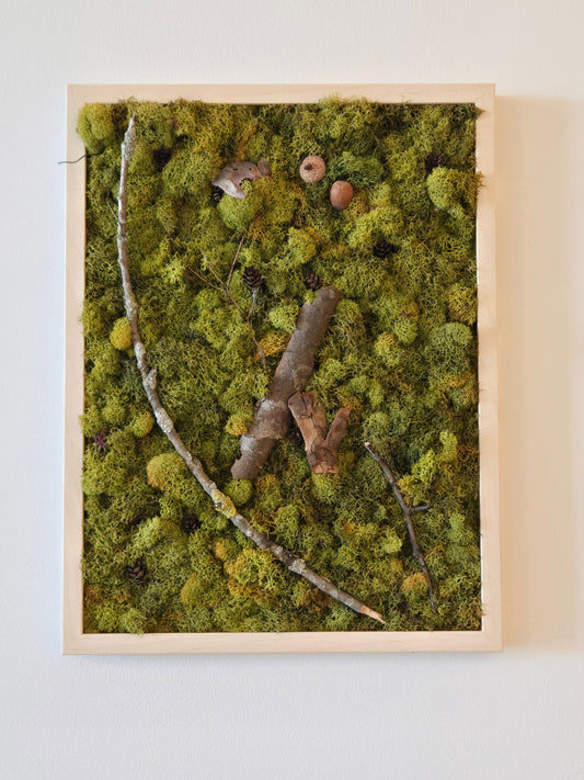 Forest Floor Green Moss & Wood