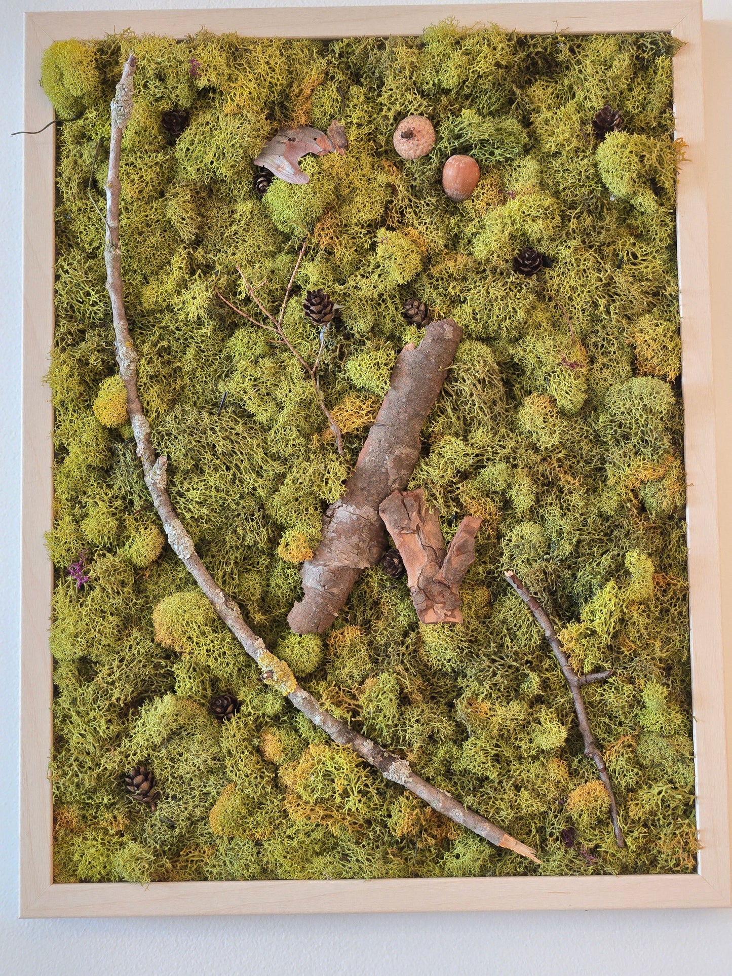 Forest Floor Green Moss & Wood