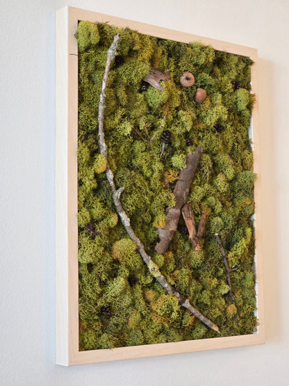 Green Earth & Acorns - Moss Art