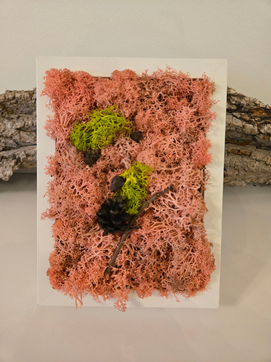 So Pink - Moss Art