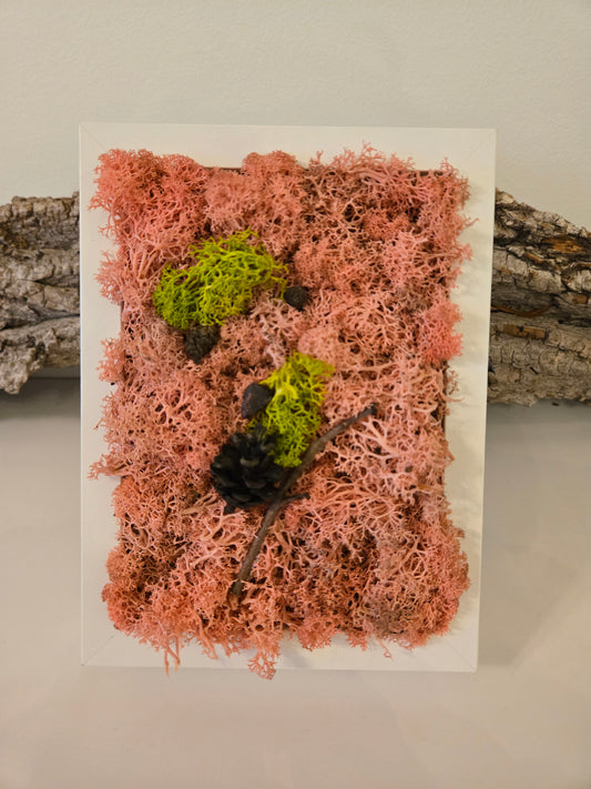 Limited Edition Pink Moss - XS