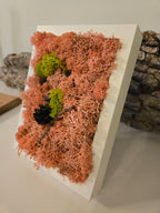 So Pink - Moss Art
