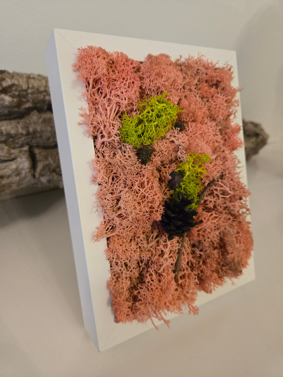 So Pink - Moss Art
