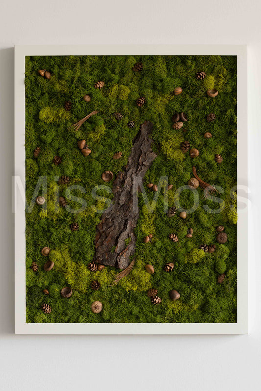 White Squirrel Way - Print