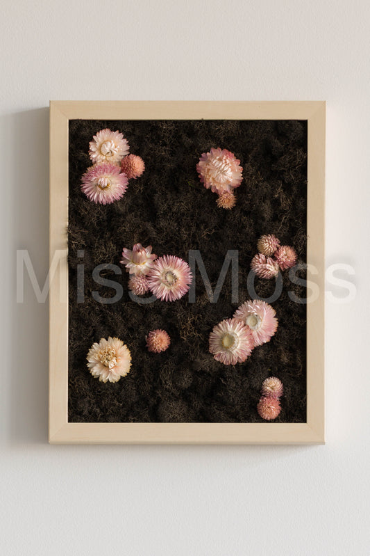 Vespertine - Print