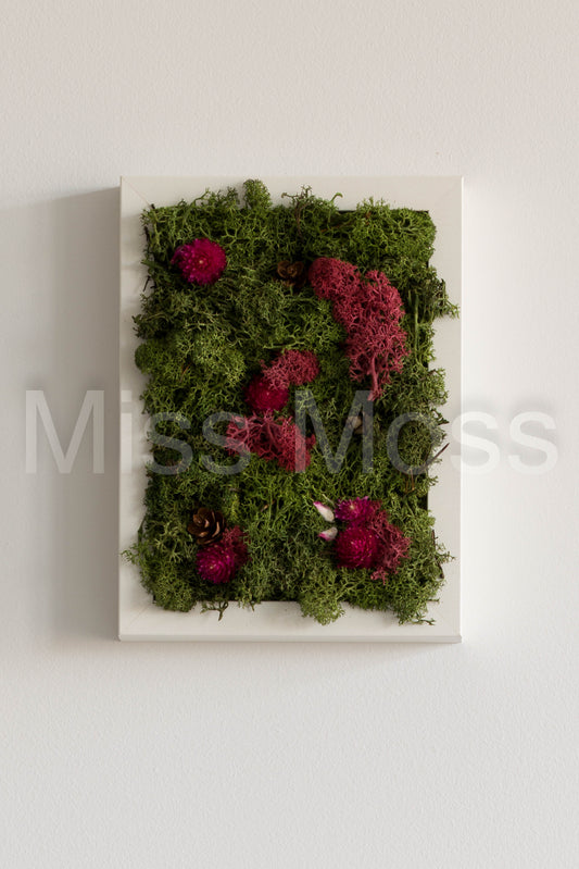 Enchanted Forest - Print