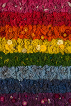 Rainbow moss with flowers and crystals fine art print