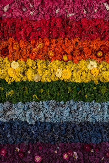 A Little Extra - Fine Art Print