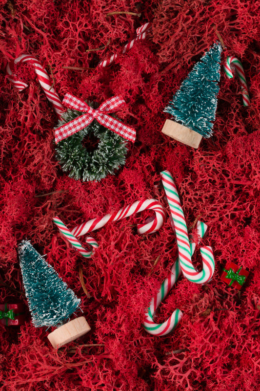 All I Want For Christmas - Fine Art Print