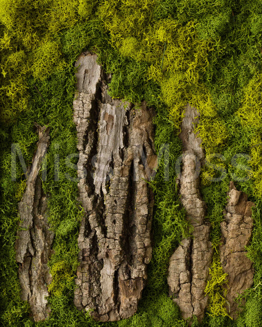 Stonehenge - Print