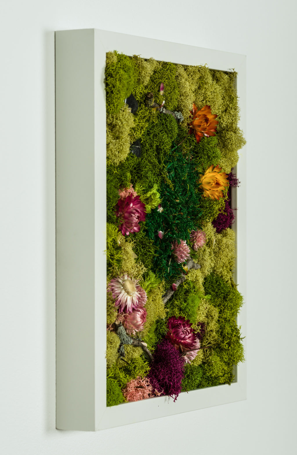 Bellwoods - Moss Art